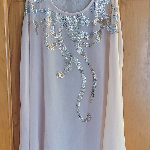 BOGO Express Sheer Champagne colored Top w/ Sequin design & Lace back size MED - Picture 2 of 13